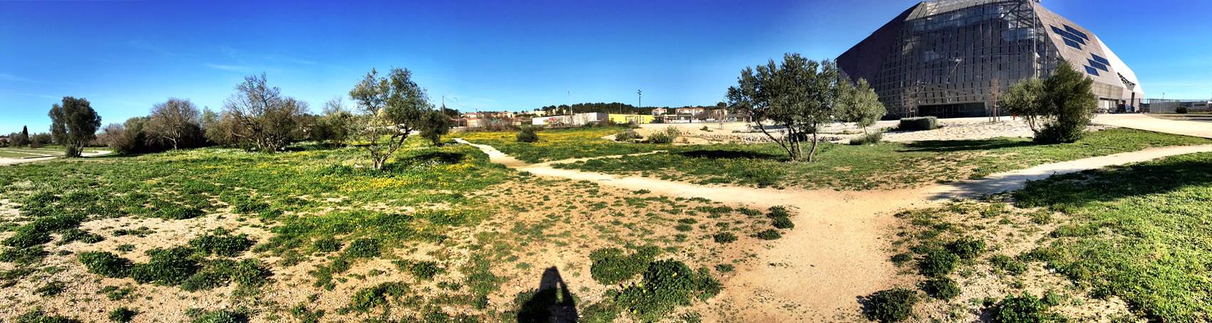 NOUVEAUTÉ : La Scène Bambou